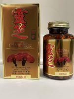 Premium Reishi Extract - Image 2